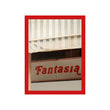 Fantasia, framed (2023/2025)