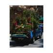 Car With Flowers (2022)